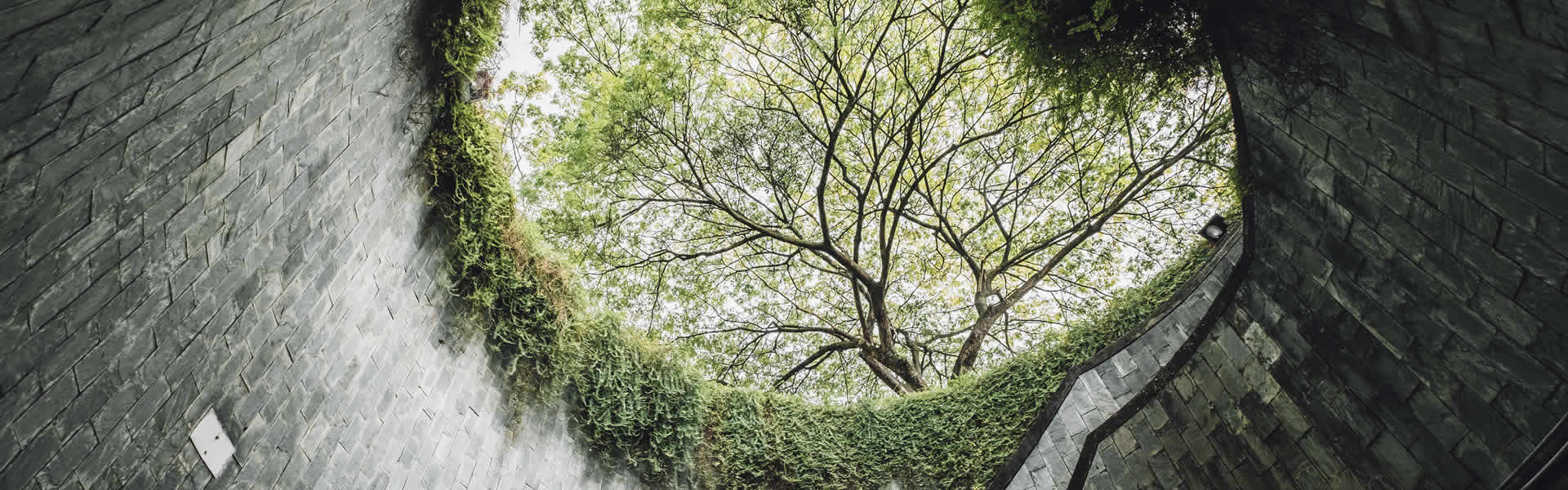 BioDesign Connect: Od ideje do održive arhitekture